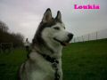 portrait Loukia.jpg